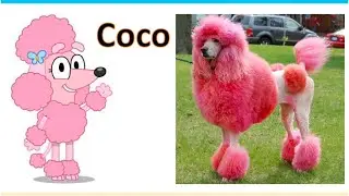 💋Bluey Characters In Real Life💋
