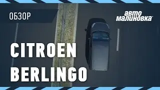Citroen Berlingo белорусской сборки - обзор от Автомалиновки