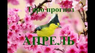 ТЕЛЕЦ. АПРЕЛЬ 2024 года.  ТАРО прогноз. События.. Татьяна Шаманова