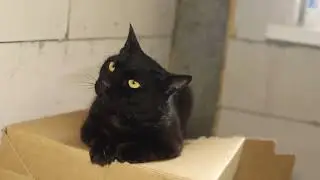Глин
