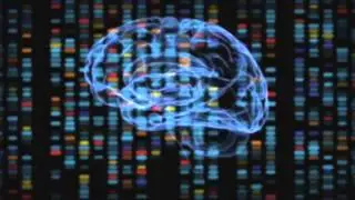 Die Gehirnmaschine. Das Human Brain Projekt. Trailer DVD-Dokumentation.