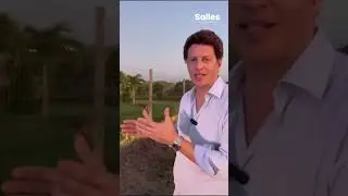 27 de agosto de 2023