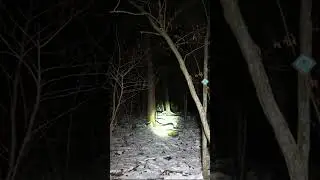 (GONE WRONG) I HAD TO RUN FOR MY LIFE FROM A MANIAC IN THE WOODS WHILE USING RANDONAUTICA #shorts