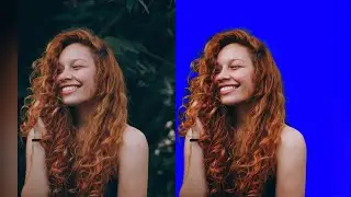 Gimp Haare Freistellen vor unruhigem Hintergrund, Link zu den Umfragen in den Kommentaren