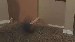 When You are Tired of Emotional Damage