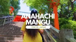 【✨金運アップのパワースポット巡り✨】穴八幡宮で運気を引き寄せる！Visiting Anahachimangu Shrine, a Powerful Spot for Economic Success