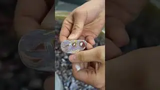 Agates tumbling in the final polish 🍯 #rock #gemstone #shorts #crystals
