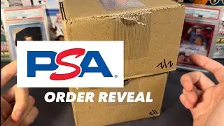 27 Card PSA Reveal