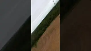 Осеннее преображение