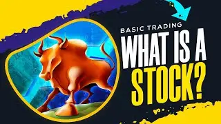 What Is Stock ?