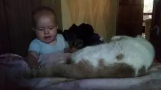 Сынок и наш котик