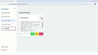 Sql Runner Project