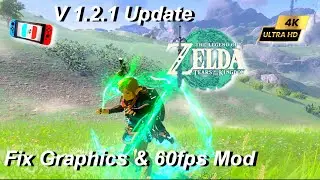 Tears of the Kingdom v1.2.1 Update ~60FPS Mod & Graphics Patch  | Ryujinx 1.1.999 | PC 4K 60FPS