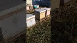 очередной зимний облёт