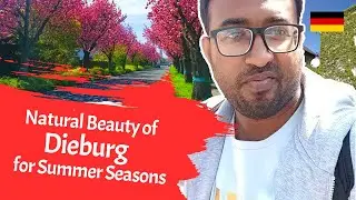 🇩🇪 জার্মানির 🇩🇪  প্রাকৃতিক সৌন্দর্য  - Natural Beauty in Germany for Summer Season