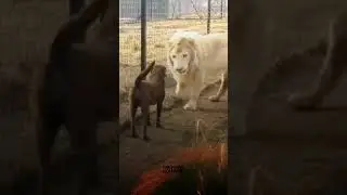 🔥🔥🔥 #рекомендации
