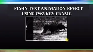 How to make simple fly in text animation in css3: Css Text Animation Effect