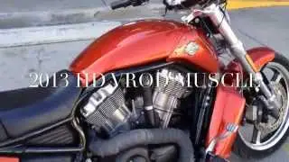 2013 Harley Davidson VROD Muscle - Priced to MOVE!