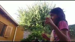 Experimentando jajajjajaj para dibertirnos