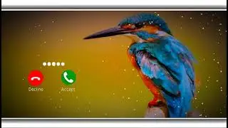 Funny Voice Message Notification Ringtone Cute Voice Message Ringtone sad sms ringtone love sms