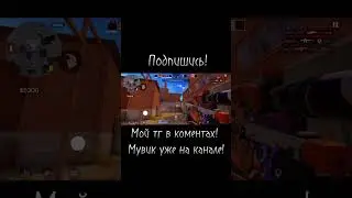 Самый богатый игрок😱 #standoff2 #веляstandoff2 #веля #standofflive #fragmovie