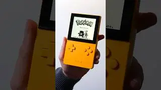 The Yellow Analogue Pocket 💛