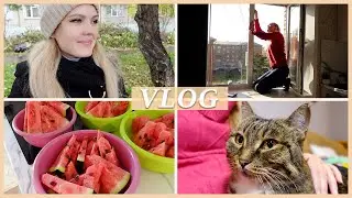 ЭМОЦИОНАЛЬНЫЕ ДНИ | НЕСОСТОЯВШАЯСЯ МИРОВАЯ