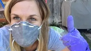 3 Steps to Eliminating Fleas Naturally