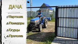 Картофель под трактор, дачный хардкор