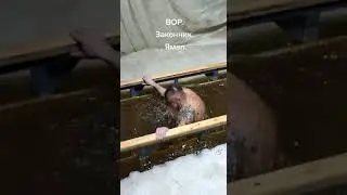 Крещение в Балашихе.