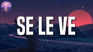 🎵 Dimelo Flow & Sech - Se Le Ve || Justin Quiles x Chimbala x KAROL G x Tiago PZK x Truen (Mix)