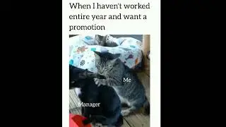 When I haven't work the entire year and want a promotion.