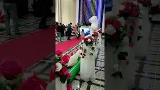 Исфана. Суннат туй кизалог сахнага чикишни хохламади😅😅😅