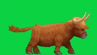 Yak green screen free copyright