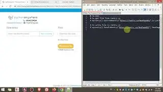 Use rentrylab in PythonAnyWhere