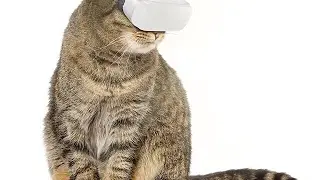 Стрим игры 