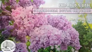 ОДИНОКАЯ ВЕТКА СИРЕНИ || Душевная песня под гармонь🪗