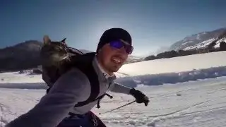 Экстрим для котэ