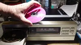denon николая