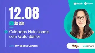 Cuidados nutricionais com o gato Sênior