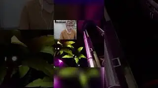 The Magical Teleporting Chica