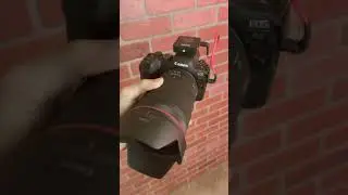 My main filming camera Canon EOS R6 #Shorts