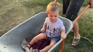 Скільки вродило кавунів