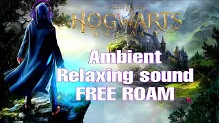 Hogwarts Legacy | Ambient Relaxation sound | Free Roam walking Tour 4K HDR