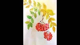 Ветка рябины