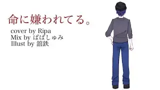 命に嫌われてる。/cover by Ripa