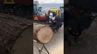 Пилит за считанные секунды ZimAni MS460 