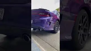 CHOP CHOP SCAT PACK!