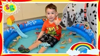 SWIMMING POOL with DEAGOSTINI toys