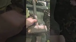 Находки на дачном участке 